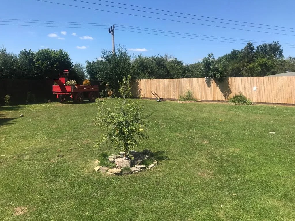 Featheredge fencing