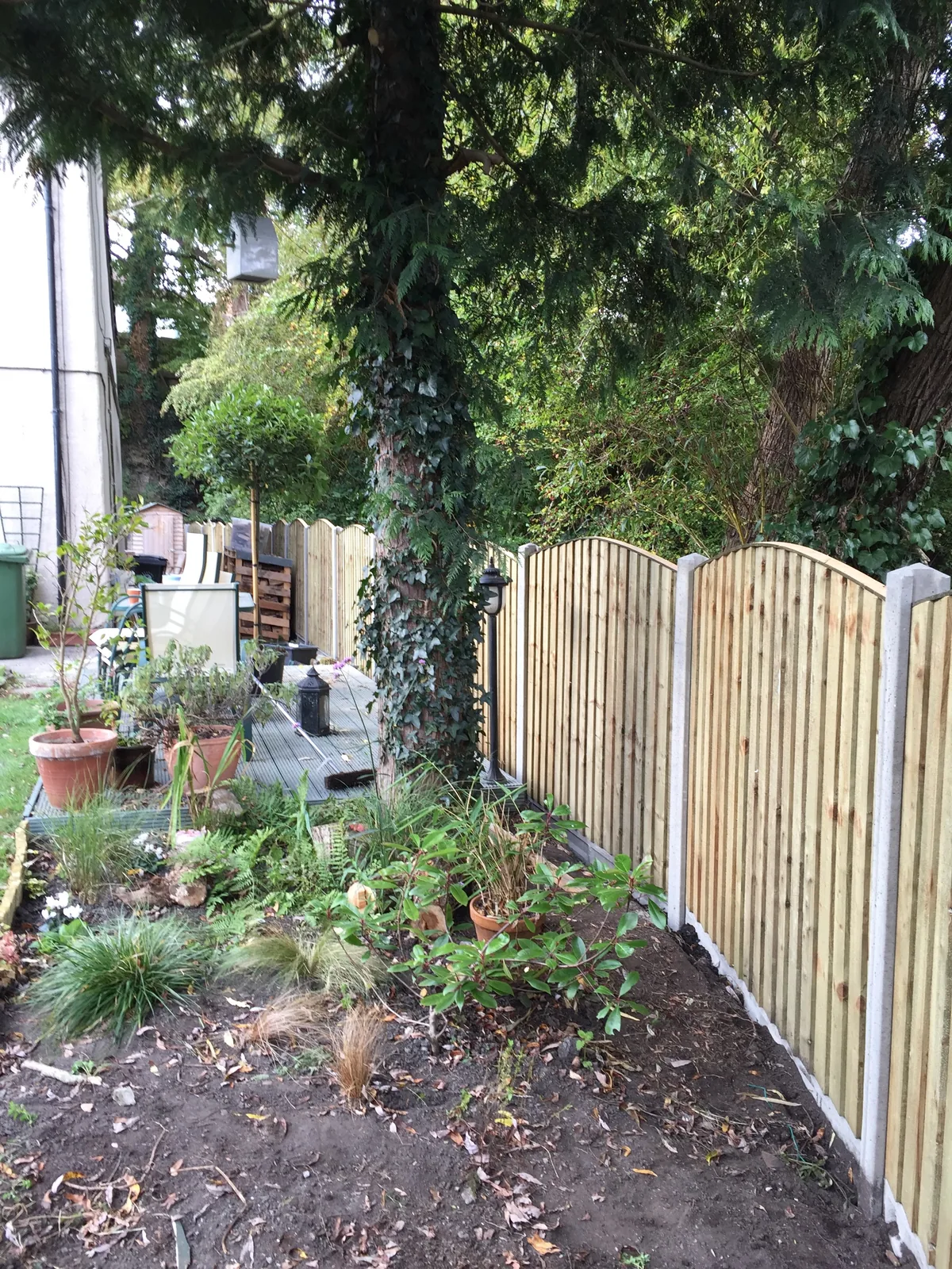 Dome closeboard panels and concrete posts curved to follow the customers garden