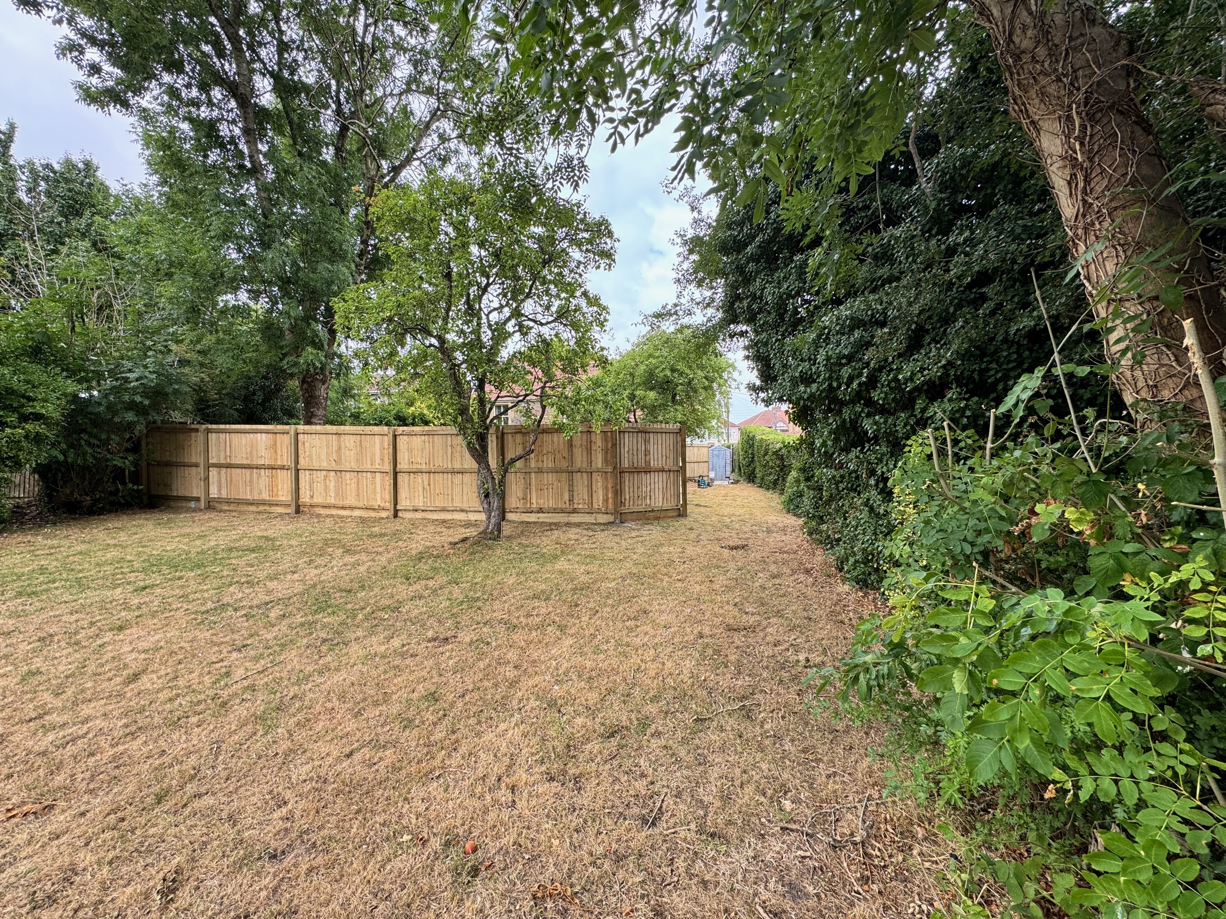 Featheredge fencing rear view