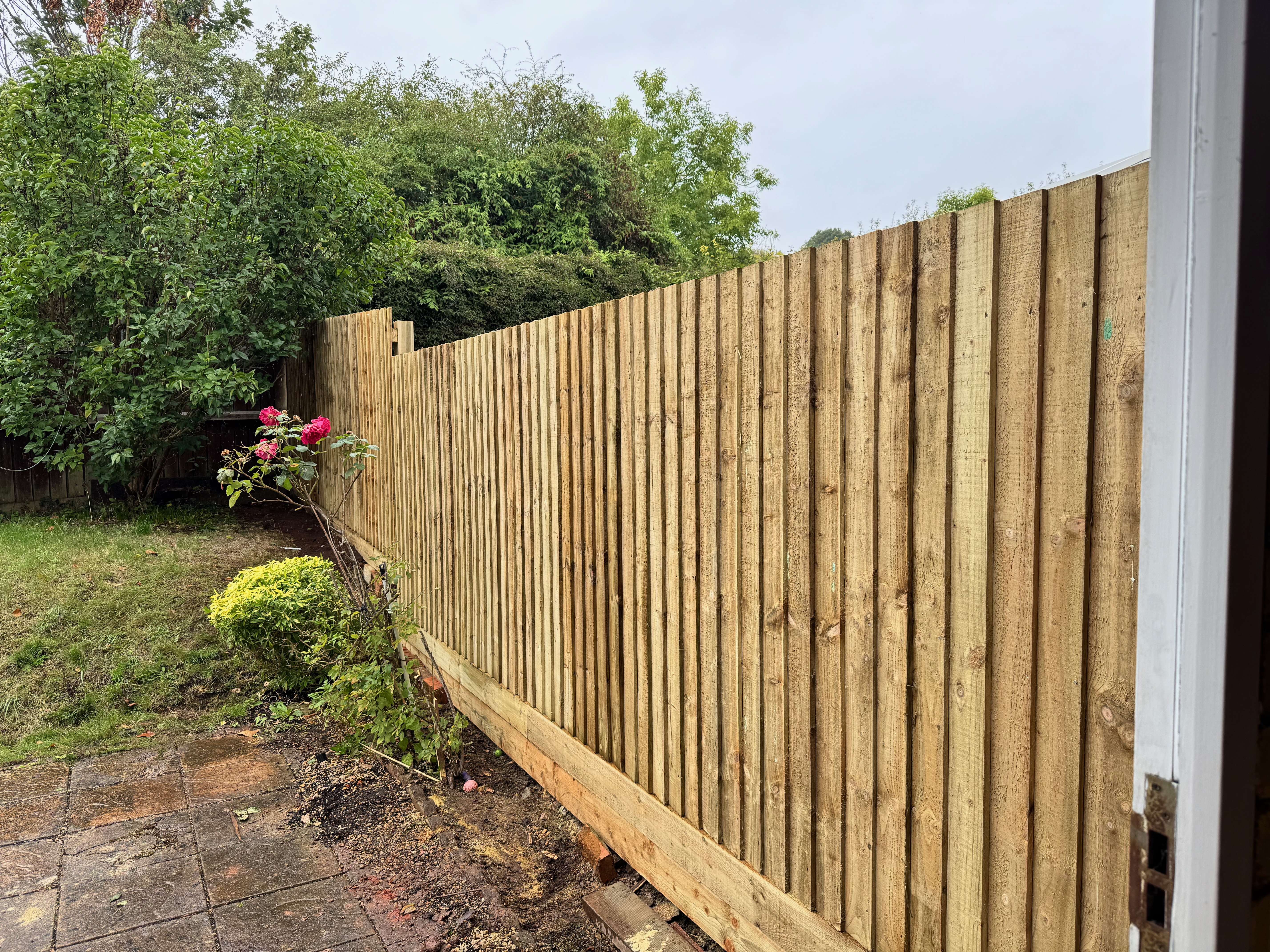 Featheredge fencing